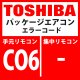 東芝　パッケージエアコン　エラーコード：CO6　「TCC-LINK集中管理機器送信異常」　【TCC-LINK】